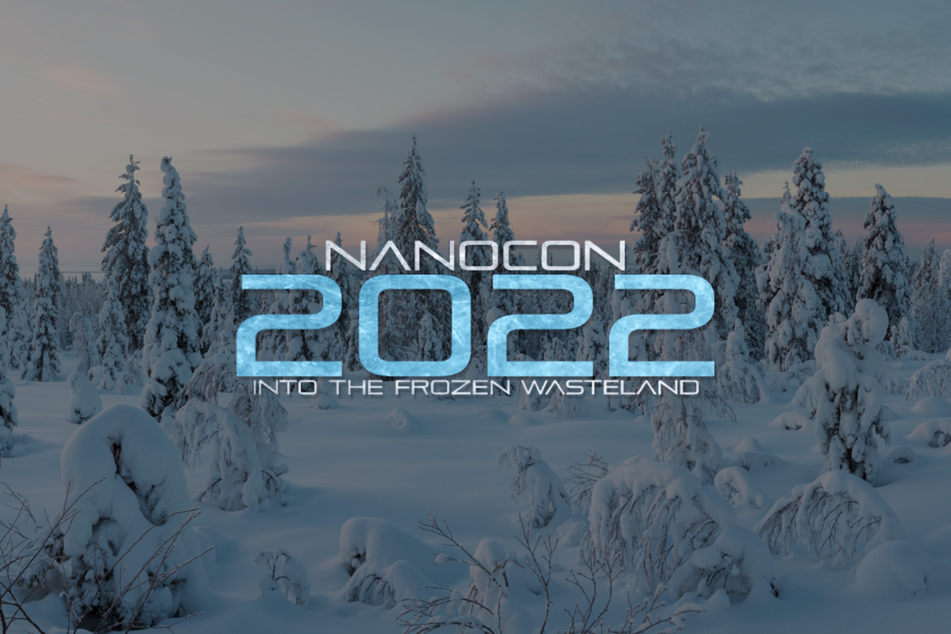 Nanocon22