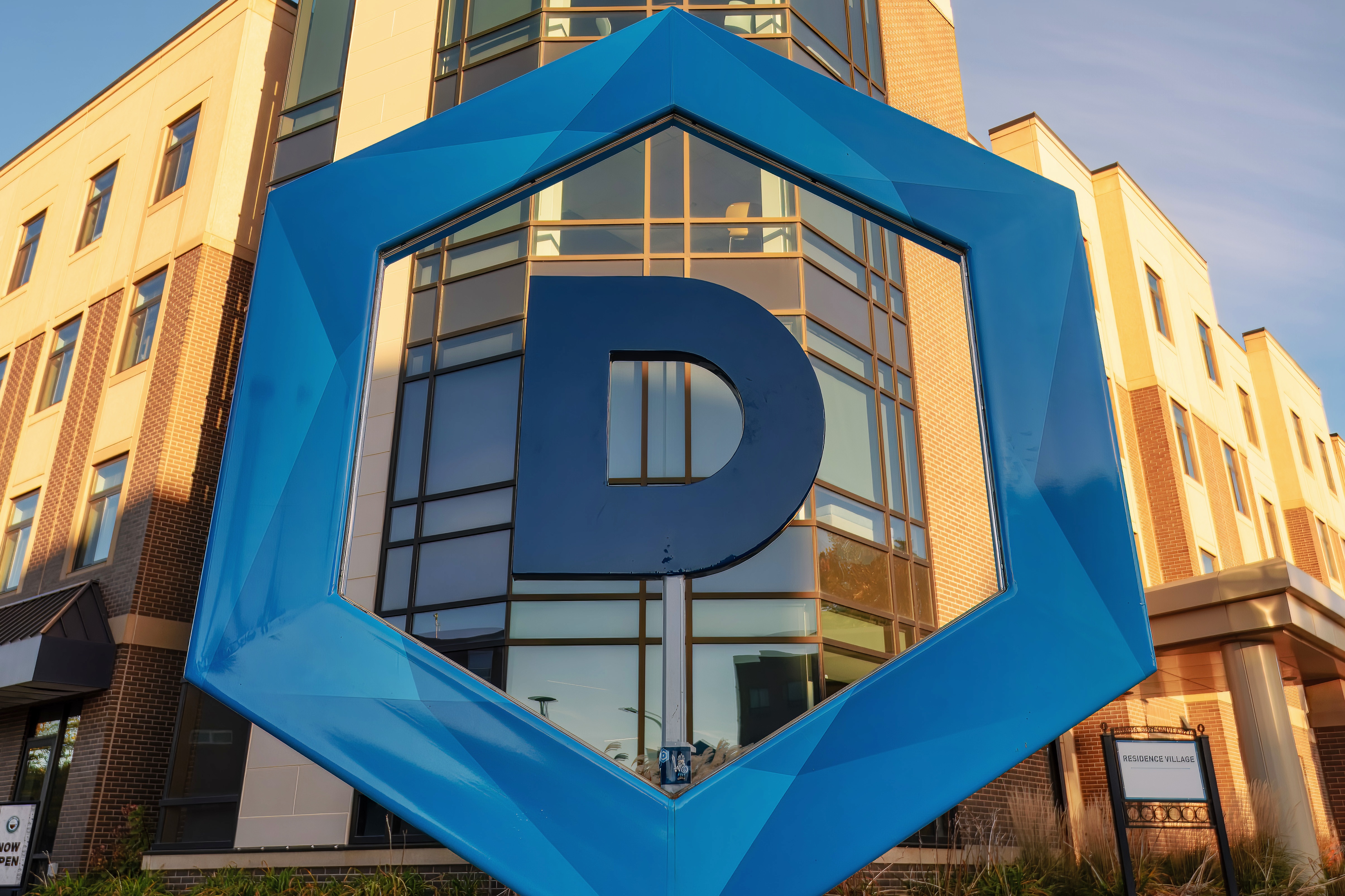 DSU hexagon logo. 