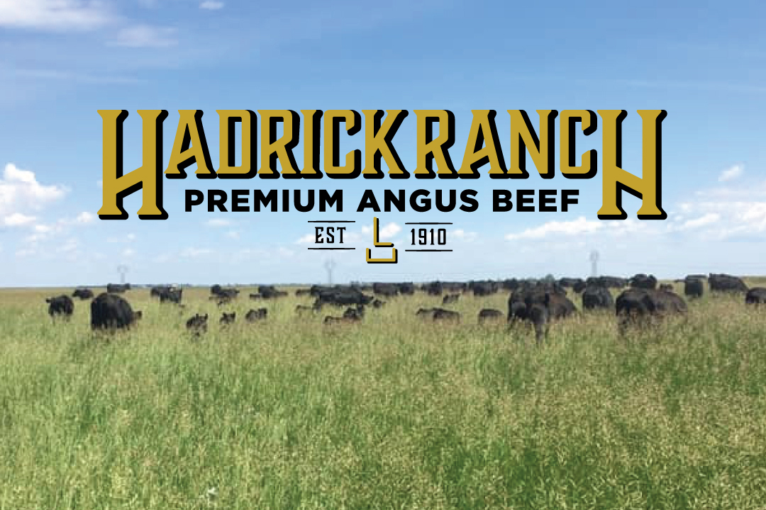 Hadrick Ranch logo with ranch landscape background including cattle