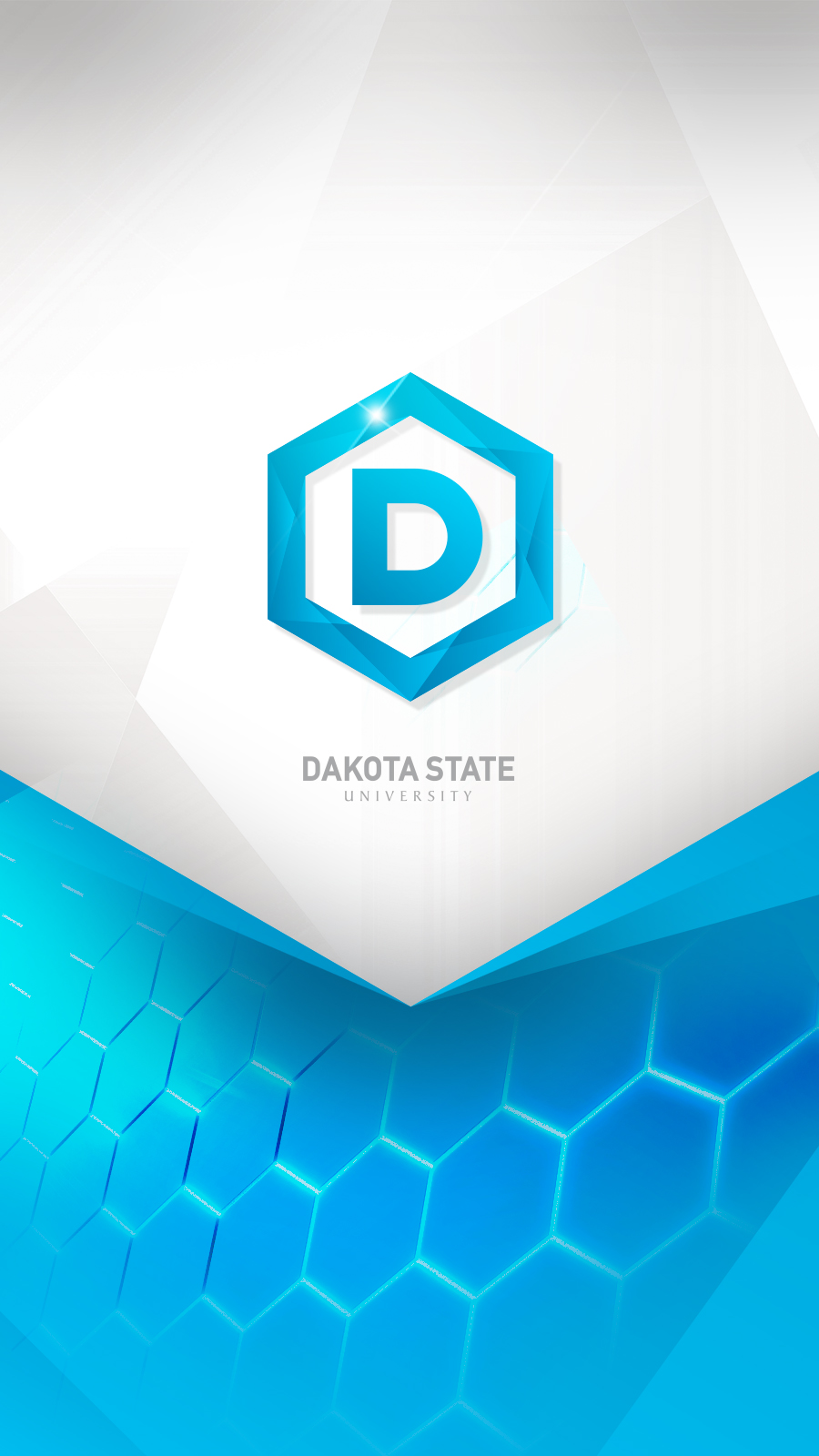 DSU phone wallpaper logo background
