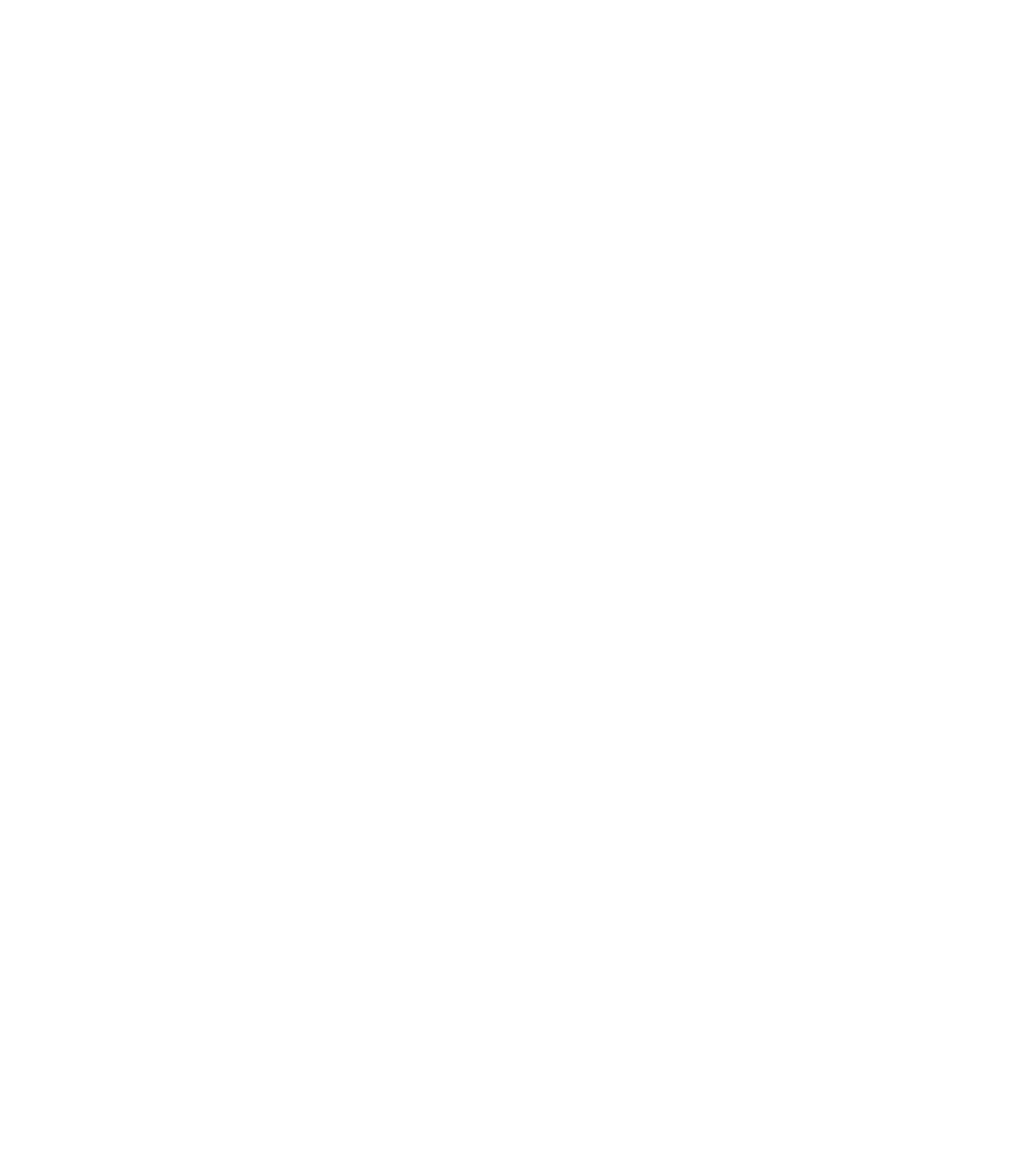 White DSU hexagon logo