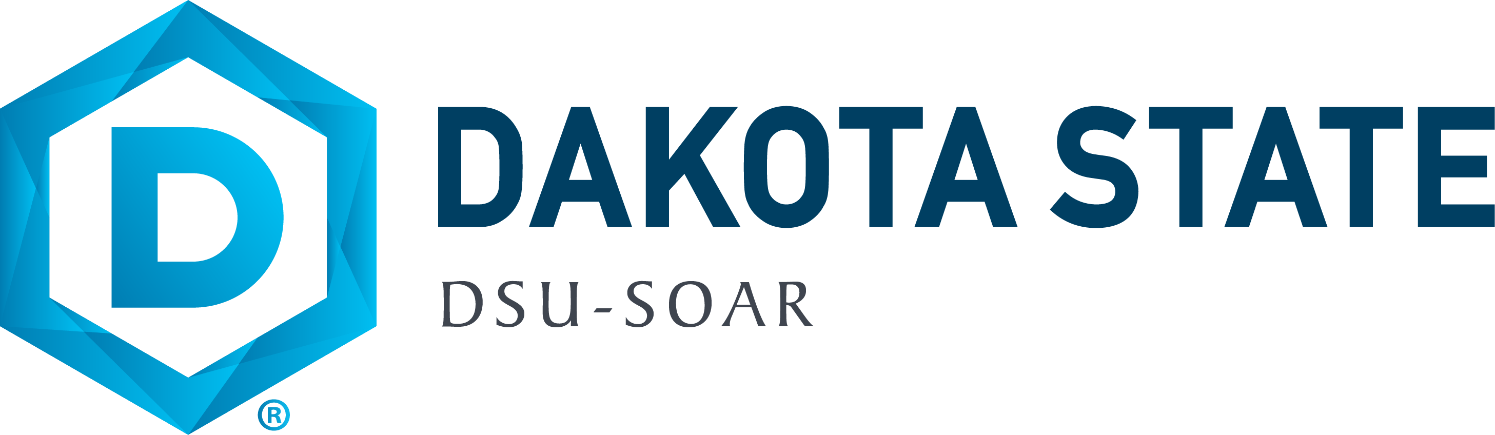 DSU-SOAR Logo