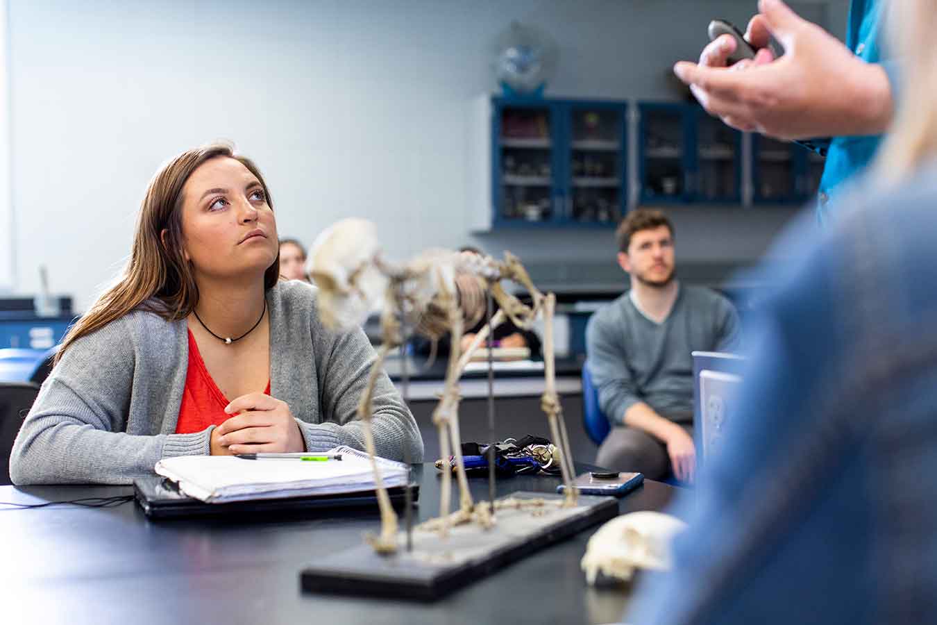 students in class