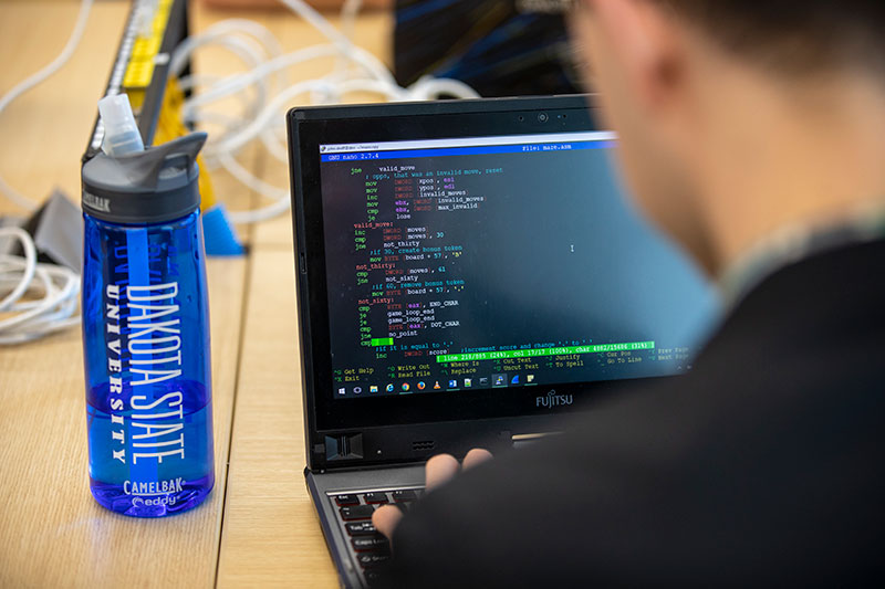 Student using a laptop at DSU.