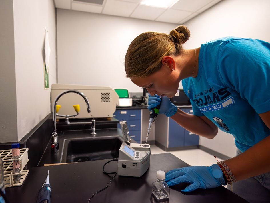 dsu student working in lab