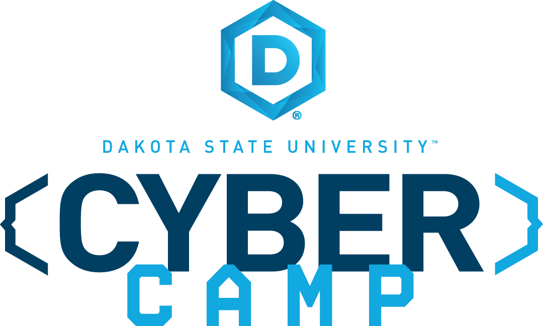 DSU Cyber camp logo