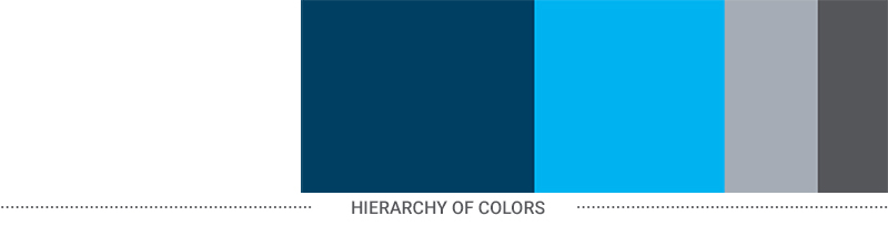 Dakota State University Hierarchy of colors; white, dark blue, trojan blue, light gray, and dark gray.