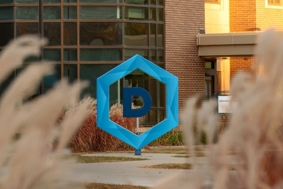 DSU's hex logo sign.