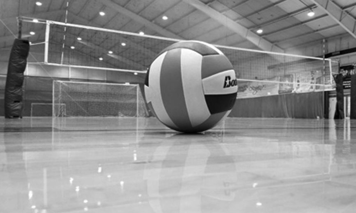Volleyball and court