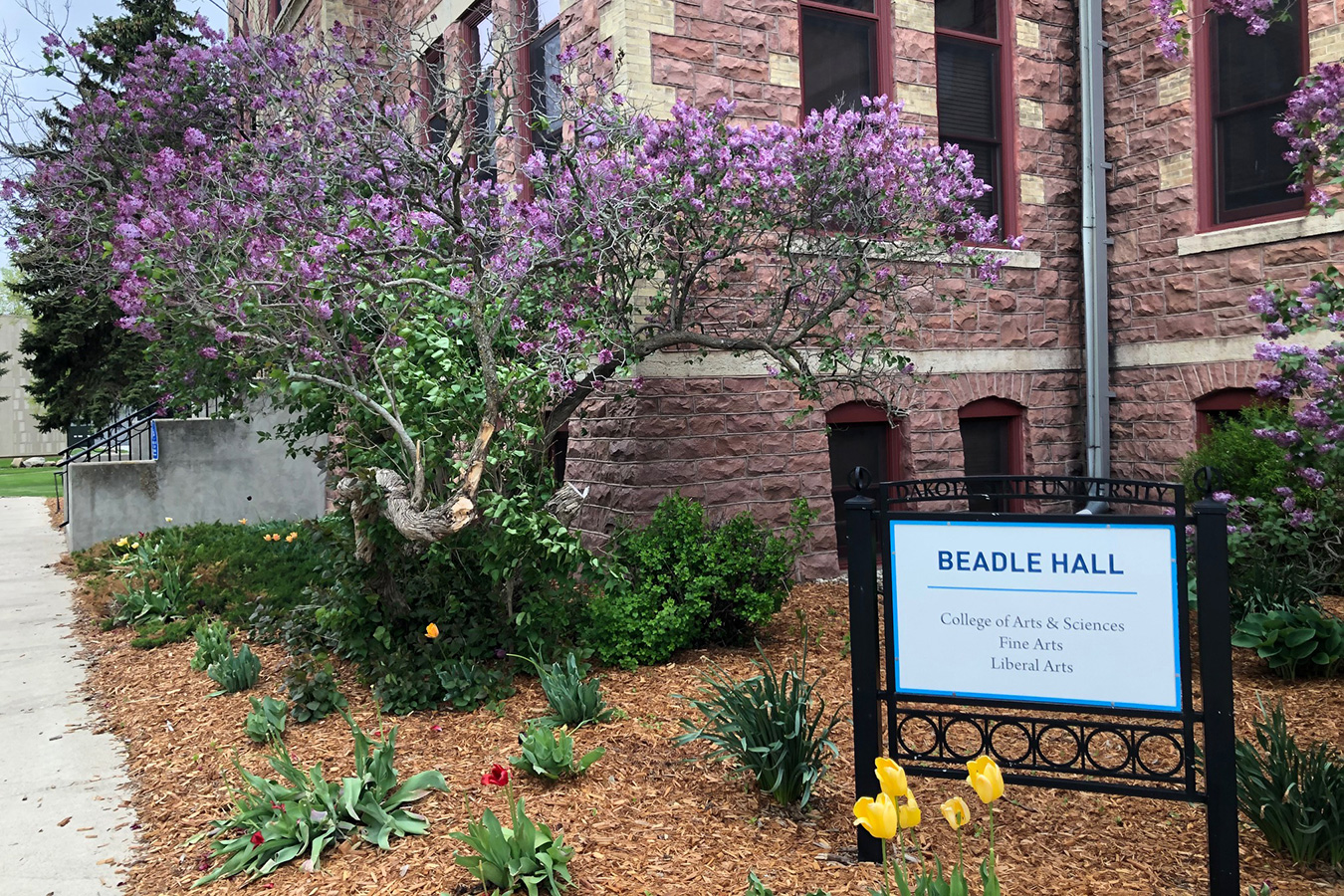 Beadle Hall landscape in the spring