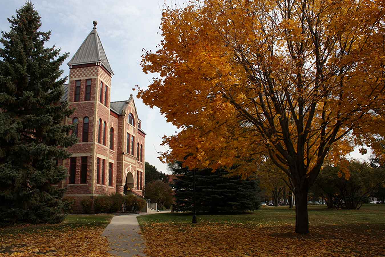 Fall landscape of DSU campus