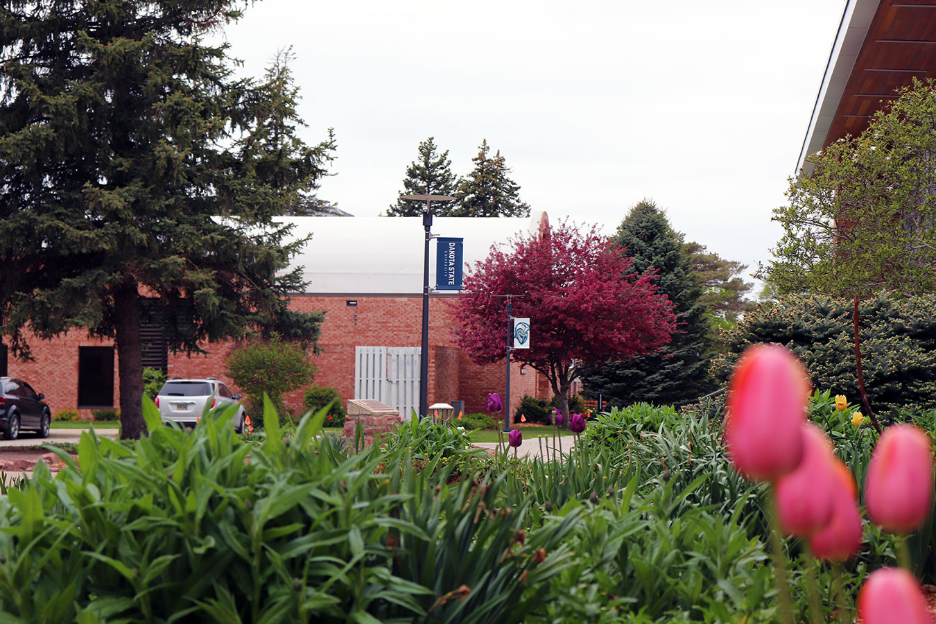 Image of Dakota State University campus