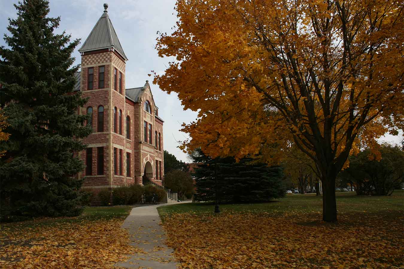 Photo of the DSU Campus in fall