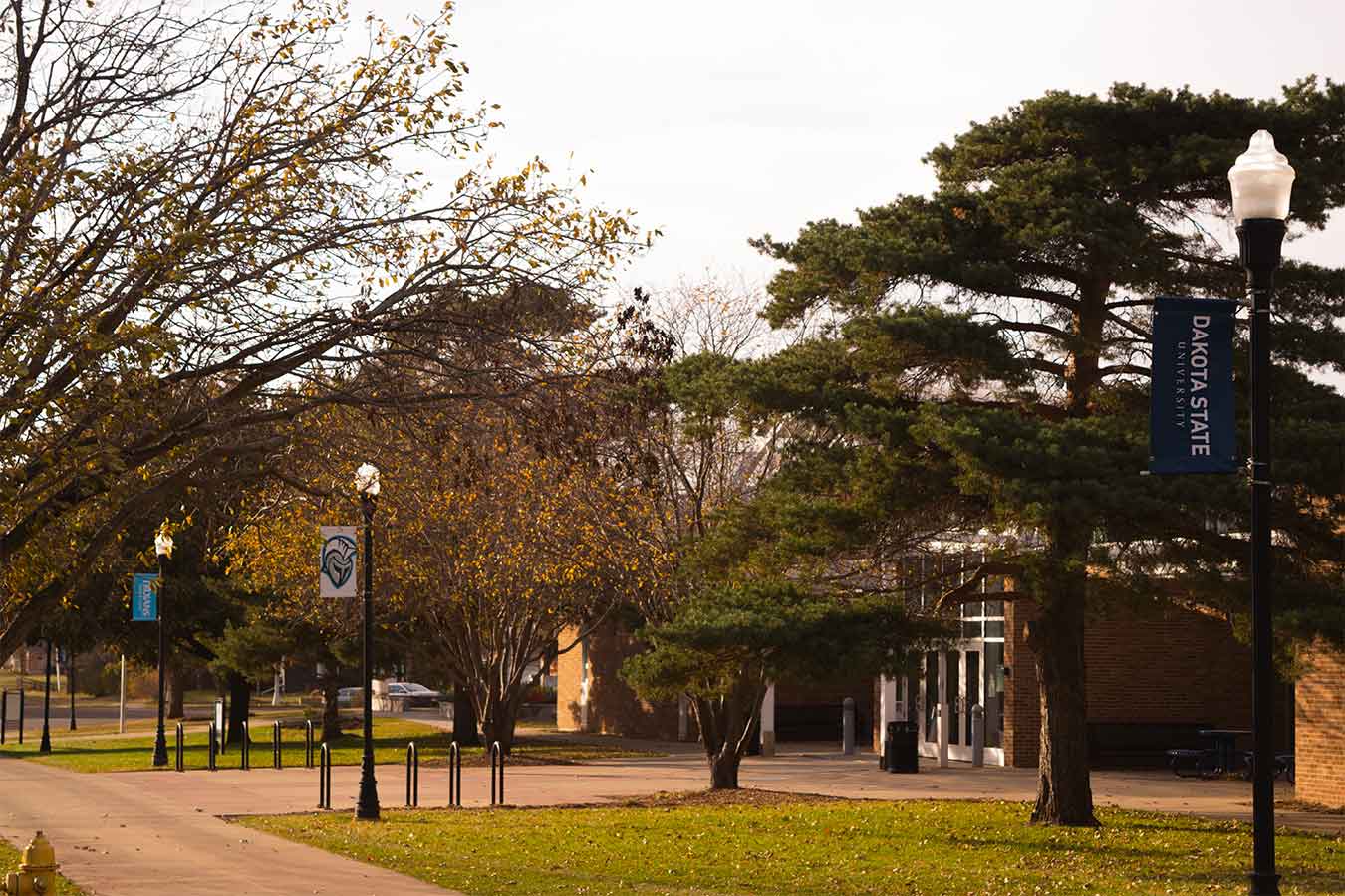 Image of DSU campus in the fall
