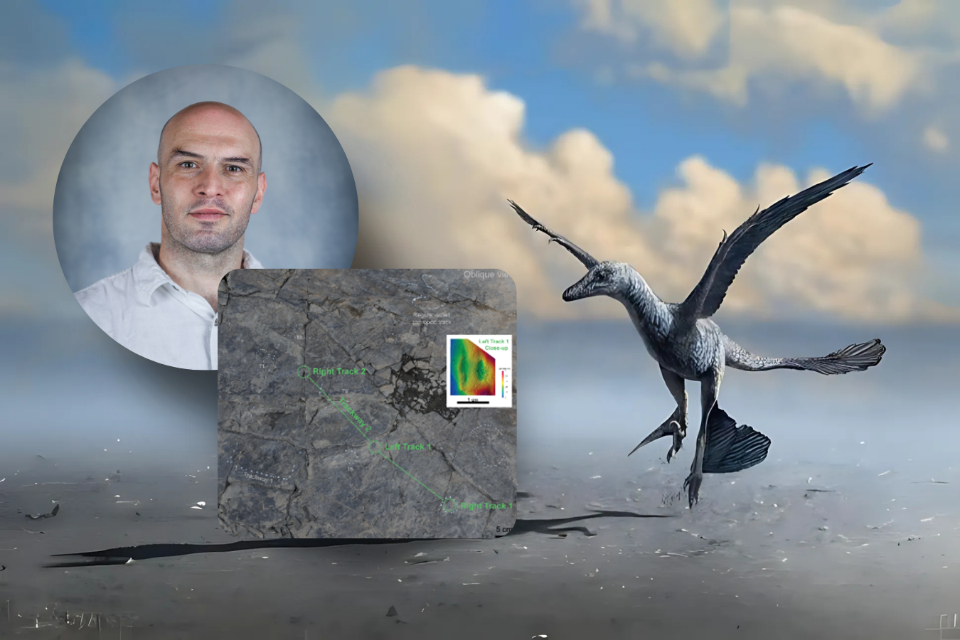 Dr. Alex Dececchi led a team of international researchers to discover evidence that feathered dinosaurs used wings to 'flap-run.' The dinosaur's track path and a rendering of the dinosaur are shown.