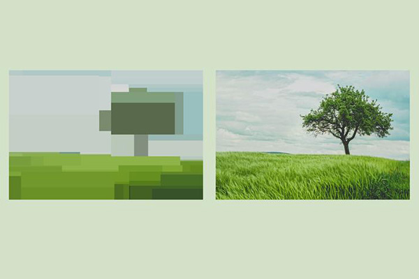 A window of two images. On the right is a photo of a big tree in a green field in a field of grass and a bright blue sky. The image on the left is a simplification created based on a decision tree algorithm. The work illustrates a popular type of machine learning model: the decision tree. Decision trees work by splitting the population into ever smaller segments.