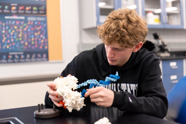biology student working on DNA model