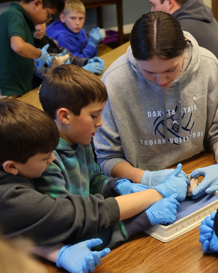 tribeta student teaching heart dissection to elementary students