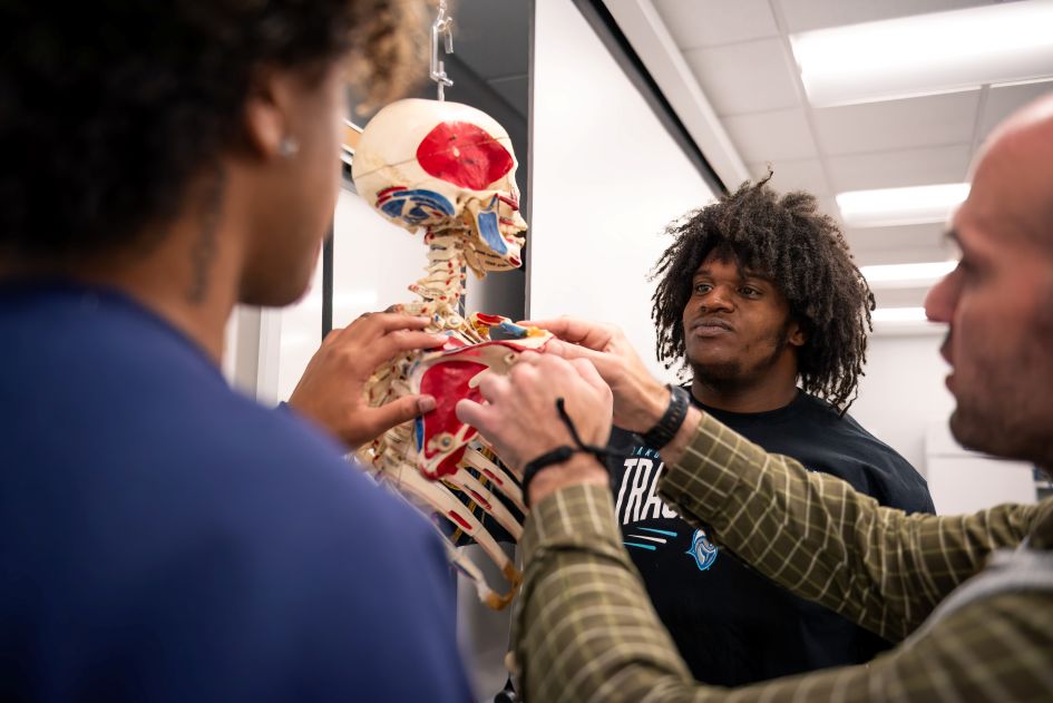 two students and professor looking at skeleton